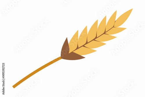 autumn leaf isolated on white