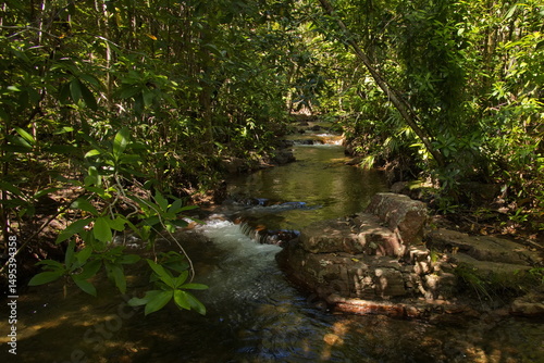 Shady Creek at Florence Falls in Litchfield National Park, Northern Territory, Australia 
