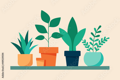 plants in pots