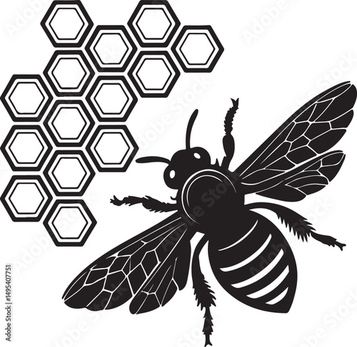 Vector illustration of a black bee icon in a silhouettes style. Honey Bee icon, honey bee and hive isolated on white background