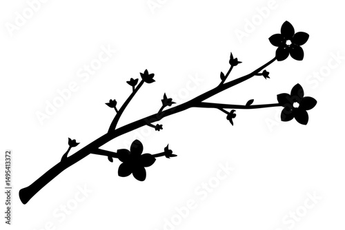 branch of cherry tree