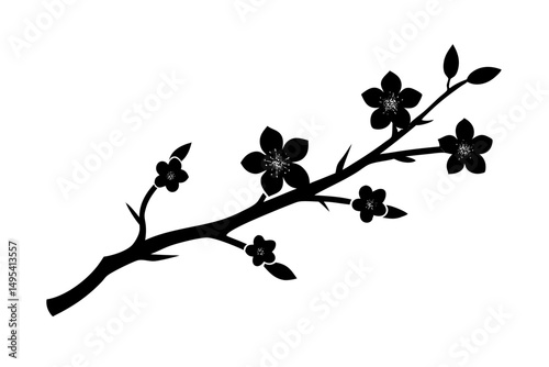 branch of a tree