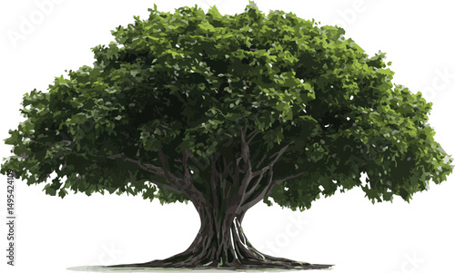 Single green tree with summer leaves isolated on a white background