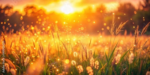 Golden Hour Sunset over Serene Grassland Magical Meadow at Dawn