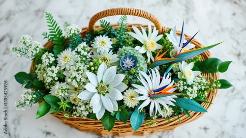 Summer Floral Arrangement: White Achillea, Teal Strelitzia, Oval Basket