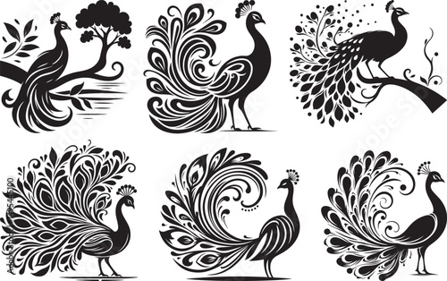 Elegant black and white peacock designs set