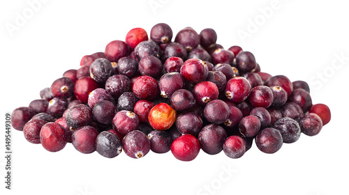 Heap of Dried Cranberries on White Background - Food Photography