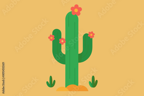 cactus in the desert