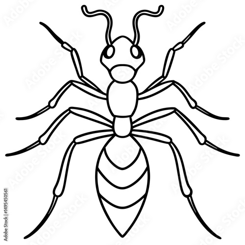 Fire Ant line art vector
