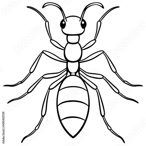 Fire Ant line art vector