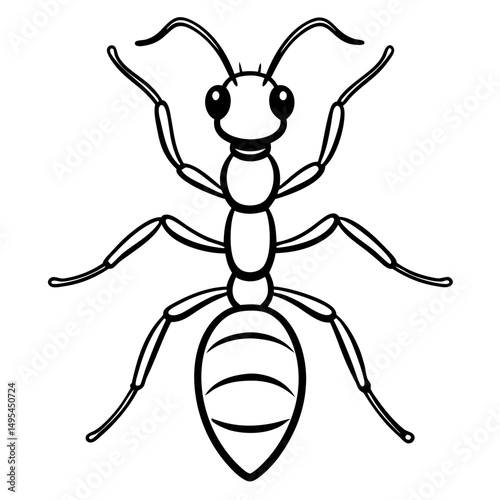 Fire Ant line art vector