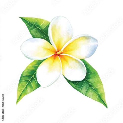 A Frangipani simple cartoon