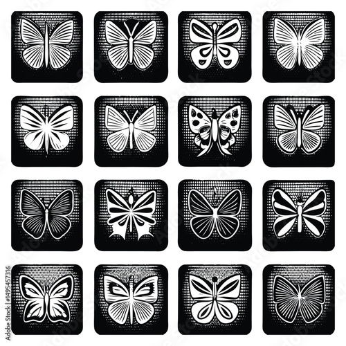 Butterfly Vector Silhouettes and Designs