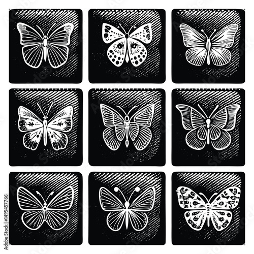 Butterfly Vector Silhouettes and Designs