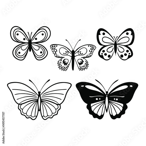 Butterfly Vector Silhouettes and Designs