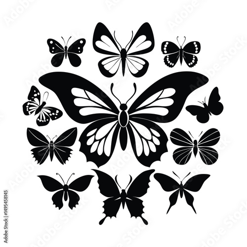 Butterfly Vector Silhouettes and Designs