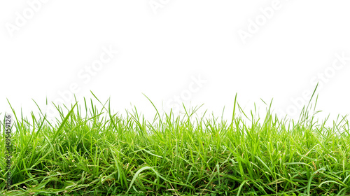 Vibrant Green Grass Field on White Background for Product Placement