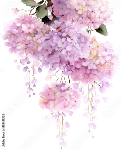 Watercolor pastel pink and lavender hydrangeas, white background, small flowers hanging down from the top of the picture