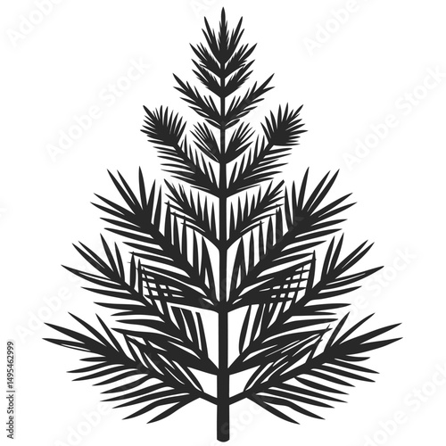 Pine sapling silhouette with sharp needles
