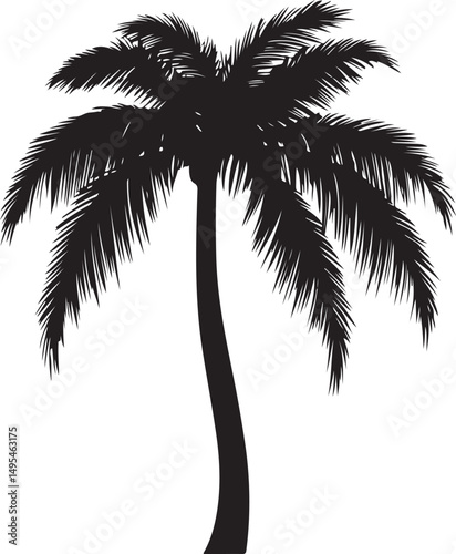 Palm Tree Silhouette Vector Illustration on Transparent Background