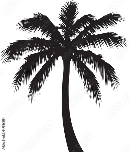 Palm Tree Silhouette Vector Illustration on Transparent Background