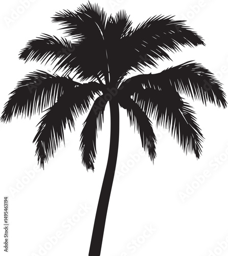 Palm Tree Silhouette Vector Illustration on Transparent Background