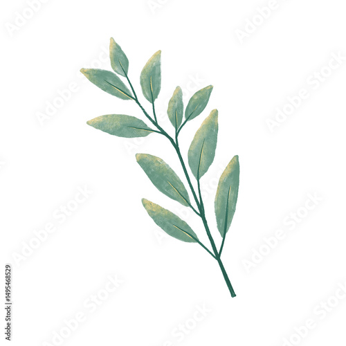 green leaves isolated on white