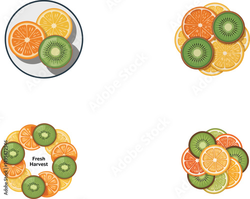 Fresh Citrus Fruit Slice Vector Graphics