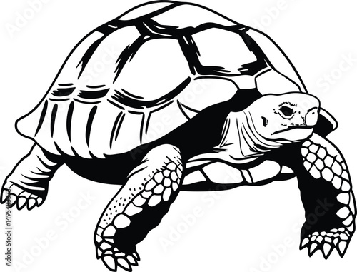 Tortoise Silhouette: A detailed black and white depiction of a solitary tortoise, showcasing the intricate texture of its shell, a symbol of longevity and resilience.