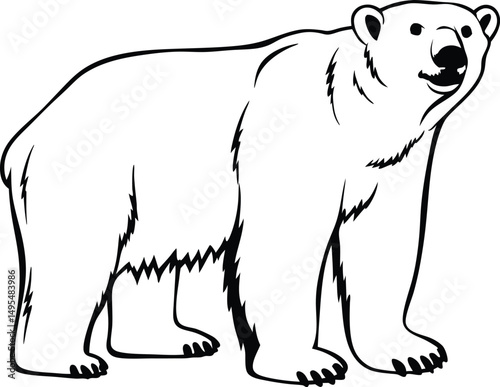 Polar Bear Line Art: A majestic polar bear rendered in bold black and white line art, showcasing its powerful physique and iconic features.