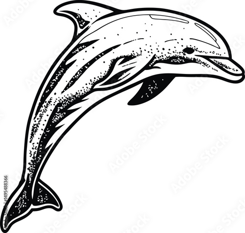 Leaping Dolphin Illustration:  An elegant dolphin leaps high in a dynamic pose, its sleek form captured in a black and white illustration with stippled texture for a unique visual appeal.