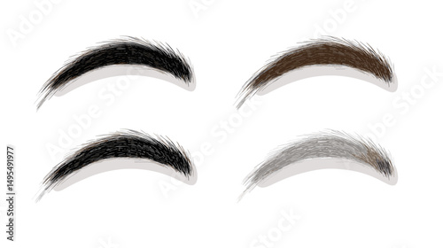 Set of Four Different Brow Shades Illustrated with Detailed Textures for Beauty and Makeup Art