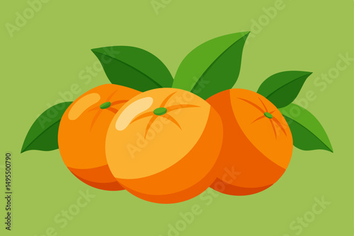 vector illustration of orange fruit