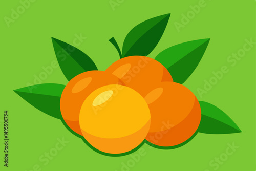 vector illustration of ripe apricots