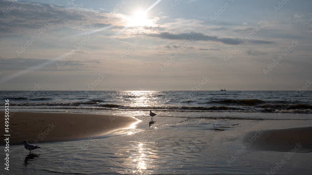 Obraz premium A sea at low tide and at sunset, with some seagulls on the sandy beach