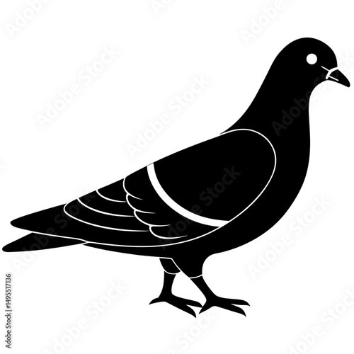 vector illustration of dove