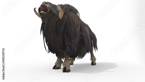 Wallpaper Mural muskox on white background Torontodigital.ca