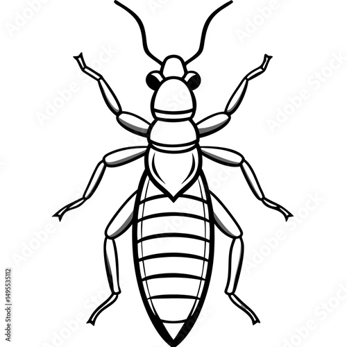Termite line art vector