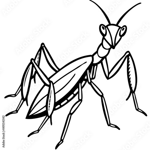 Praying Mantis line art vector