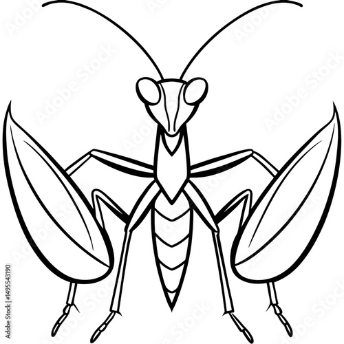 Praying Mantis line art vector