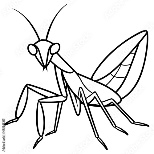 Praying Mantis line art vector