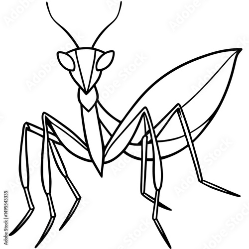 Praying Mantis line art vector
