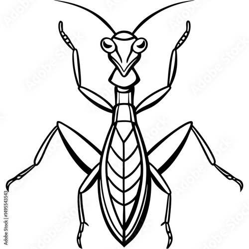 Praying Mantis line art vector
