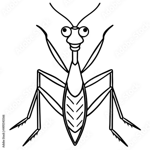 Praying Mantis line art vector
