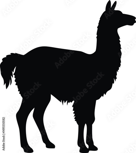 Llama Silhouette - Minimalist Black Animal