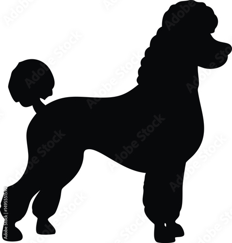 Poodle Silhouette - Minimalist Black Dog