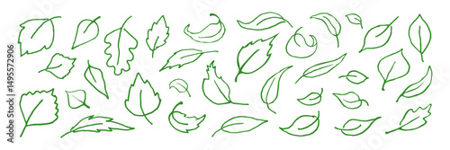 Set of various green leaf outlines in a hand-drawn style on white background, perfect for eco designs or botanical themes
