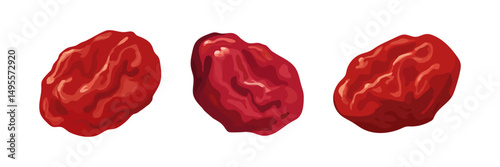 Three dried cranberries or red dates in a realistic vector style on a white background, great for food, nutrition, and healthy snack themes