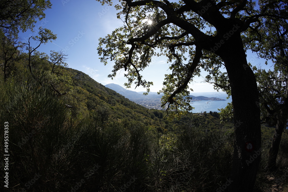 Fototapeta premium Sunny day in Montenegro, near Bar Fall 2023