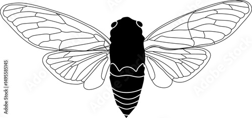 Detailed Cicada Line Art. Isolated Insect vector Illustration for Coloring and Design. High-resolution cicada line art illustration. Perfect for coloring pages, tattoos and entomology studies.